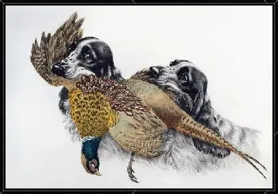 Картина Собаки и охотничьи трофеи (Dogs and hunting trophies)