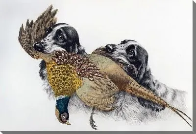 Картина Собаки и охотничьи трофеи (Dogs and hunting trophies)