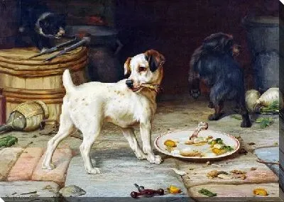 Собака и тарелка (Dog and a plate)