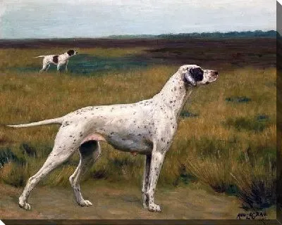 Картина маслом Долматин (Dolmatin)