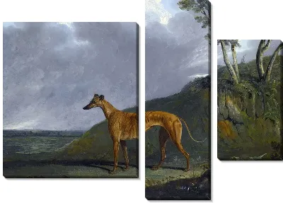 Пес (Dog) №9