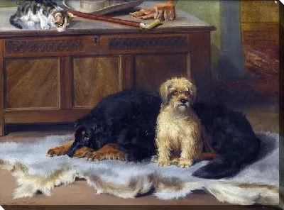 Собака и щенок (Dog and Puppy)