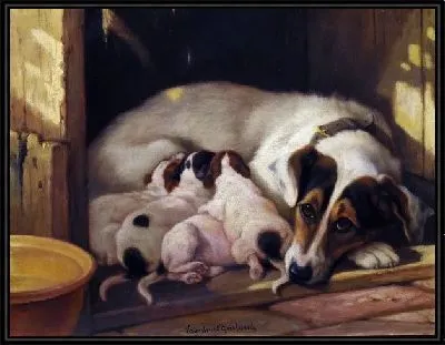 Картина Собака и щенки (Dog and Puppy)