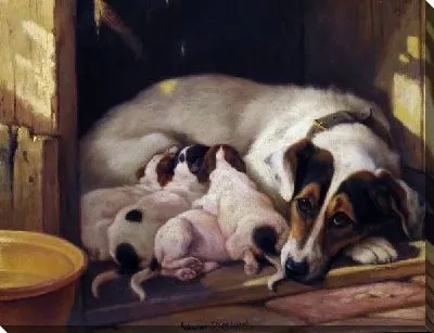 Картина маслом Собака и щенки (Dog and Puppy)