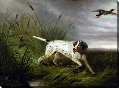 Картина маслом Собака на охоте (The dog on the hunt)