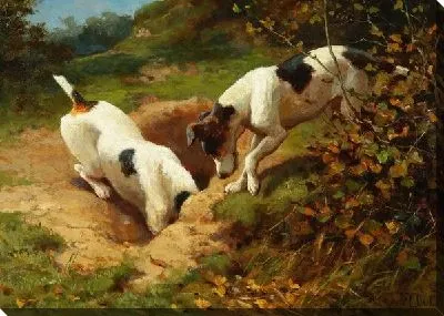 Картина маслом Две собаки (Two dogs) №2