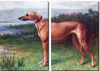 Модульная картина Собака (Dog) №5