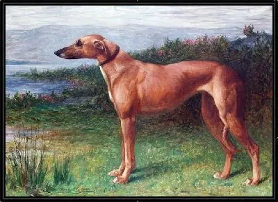 Картина Собака (Dog) №5