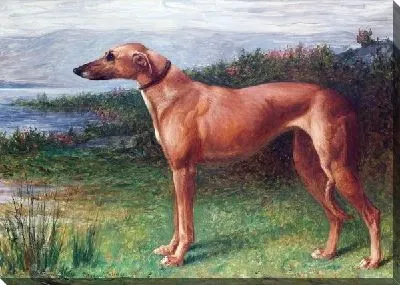 Картина маслом Собака (Dog) №5