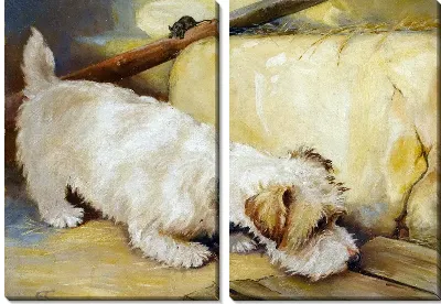 Модульная картина Собака (Dog) №6