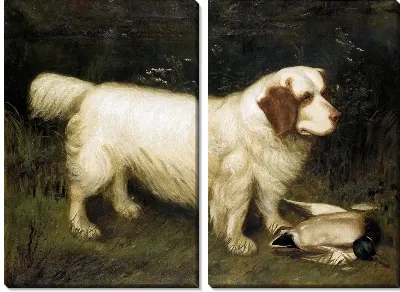 Модульная картина Собака (Dog) №7