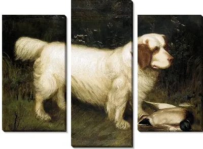 Модульная картина Собака (Dog) №7