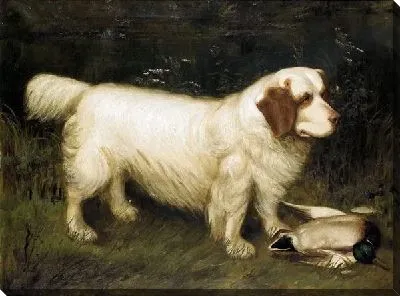 Картина маслом Собака (Dog) №7