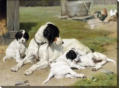 Постер Собака и щенки (Dog and Puppy) №2