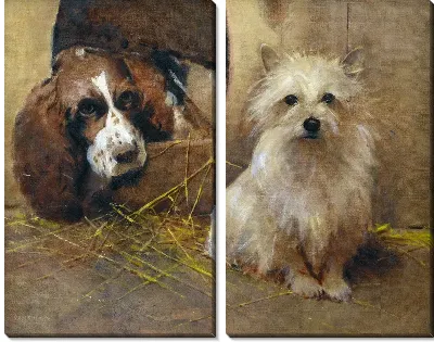 Картина Спаниель и керн терьер (A Spaniel and a Cairn Terrier)