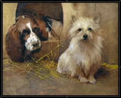Спаниель и керн терьер (A Spaniel and a Cairn Terrier)