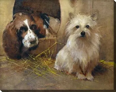 Спаниель и керн терьер (A Spaniel and a Cairn Terrier)