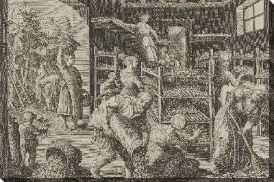 Картина Сбор листьев шелковицы и кормление шелкопрядов, лист 5 из "Введение шелкопряда" [Vermis Sericus]