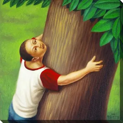 Дерево Чиско