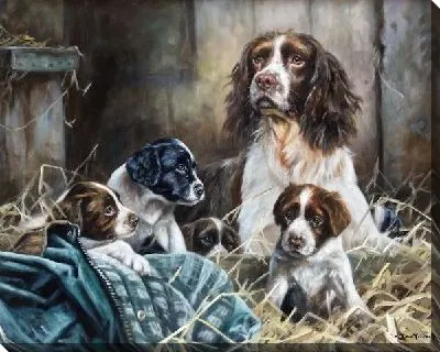 Картина Собака и щенки (Dog and Puppys)
