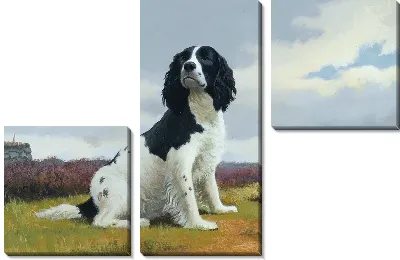 Модульная картина Собака (Dog) №8