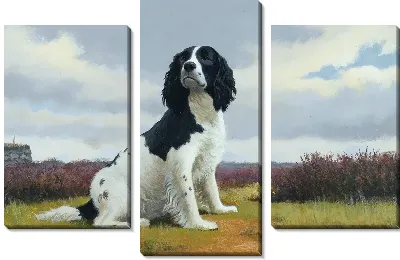 Модульная картина Собака (Dog) №8