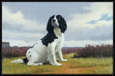 Картина Собака (Dog) №8