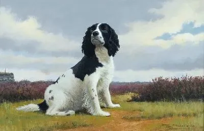 Плакат Собака (Dog) №8