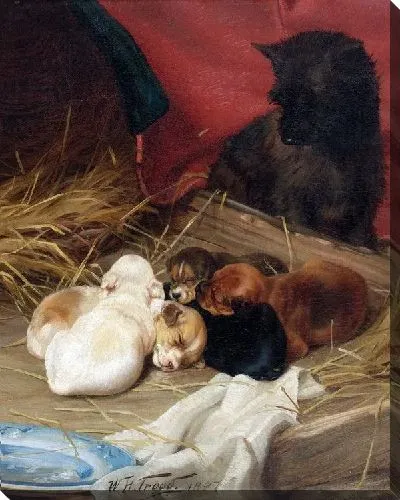 Картина Собака и щенки (Dog and Puppys)