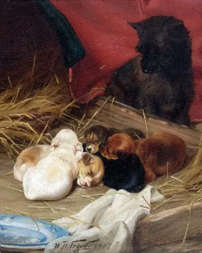 Картина Собака и щенки (Dog and Puppys)