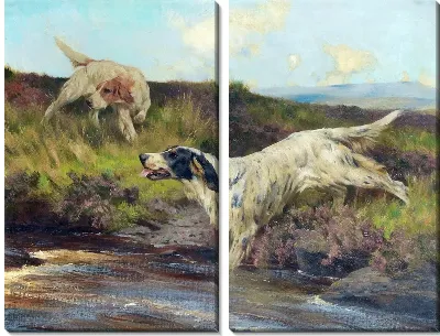 Модульная картина Две собаки (Two dogs) №6