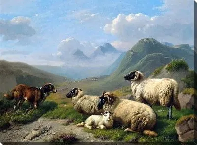 Собака и овцы (Dog and Sheep)