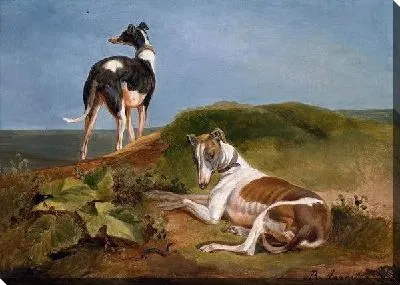 Картина Две собаки (Two dogs) №7