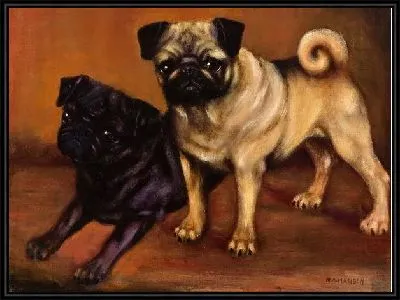 Картина Две собаки (Two dogs) №8