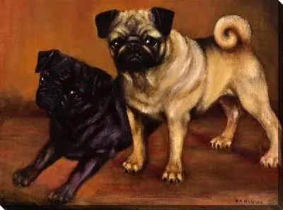 Картина маслом Две собаки (Two dogs) №8