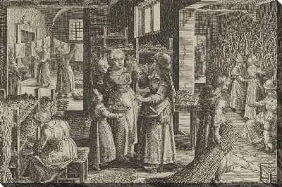 Картина Яйца шелкопряда на полках, тарелка 4 из «Введение шелкопряда» [Vermis Sericus]