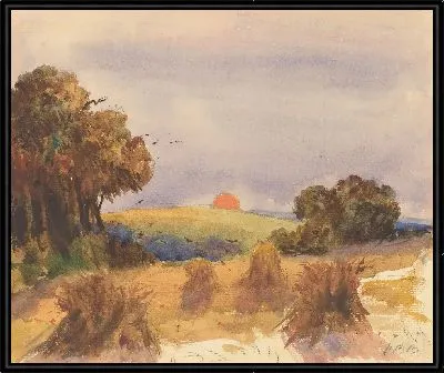 Нива на закате