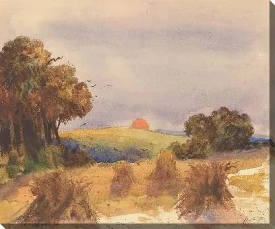 Нива на закате