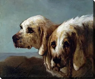 Постер Две собаки (Two dogs) №11