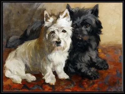 Картина Две собаки (Two dogs) №12