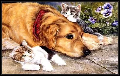 Картина Собака и котята (Dog and cats) №2