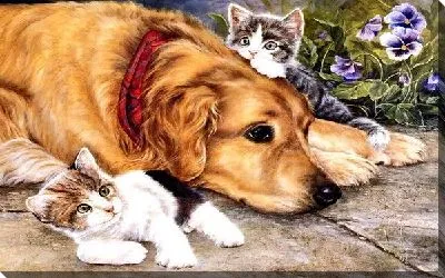 Картина маслом Собака и котята (Dog and cats) №2