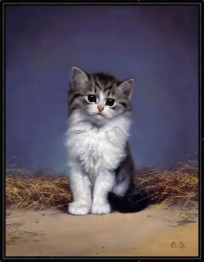 Картина Котенок (Kitten)