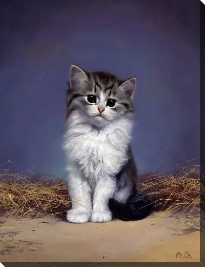 Картина Котенок (Kitten)