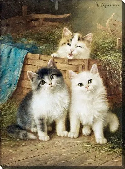 Картина Котята (Kittens)