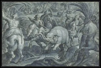 Охота на слонов