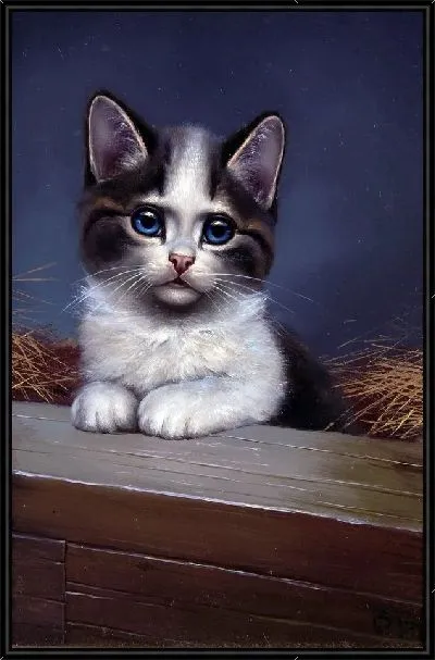 Картина Котенок (Kitten) №2