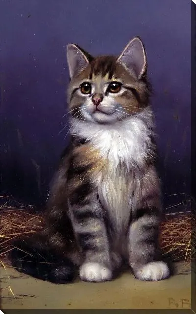 Картина Котенок (Kitten) №3