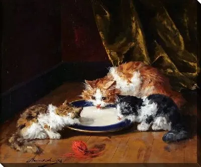 Картина Котята пьющие молоко (Kittens drink milk)