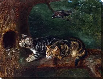 Картина маслом Кошки (Cats)